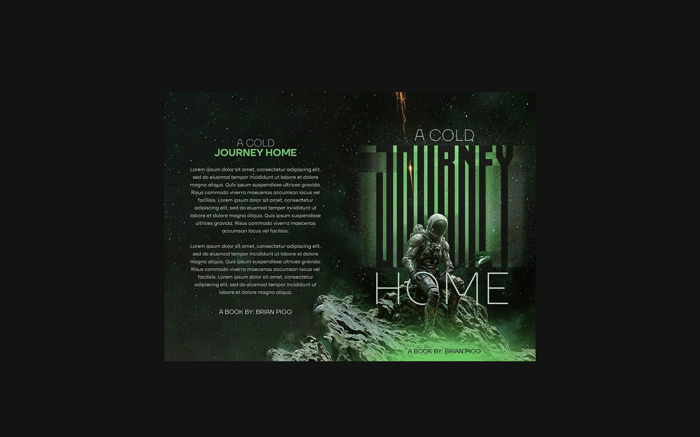 A Cold Journey Home